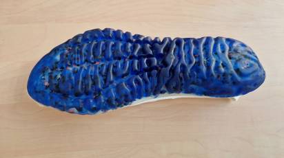 Demgy Atlantique co-designs a recycled sole for Decathlon.