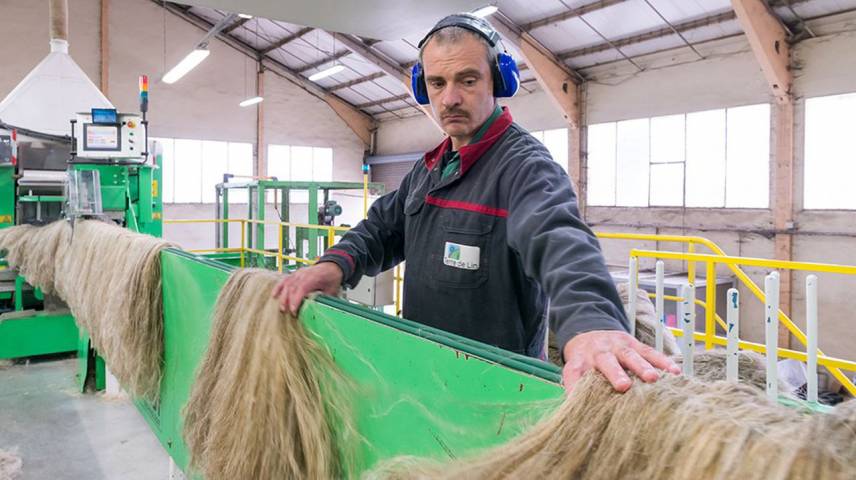 Dedienne et Terre de Lin mettent au point un biocomposite à base de lin